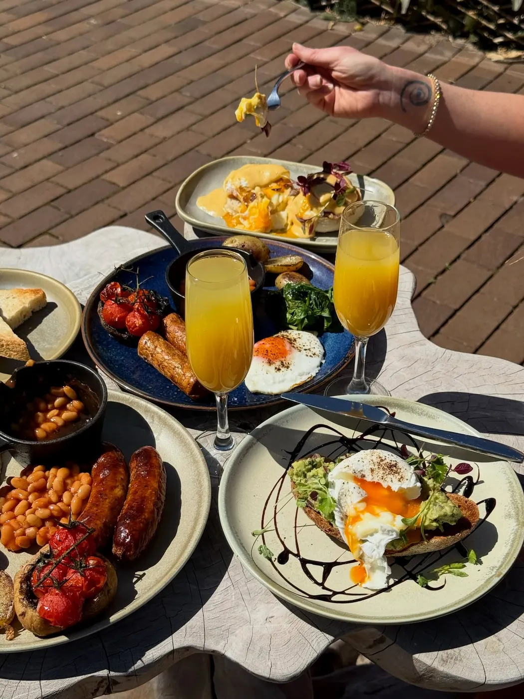 Brunch with poached eggs, avocado, hollandaise and breakfast plates